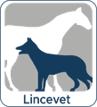 Lincevet
